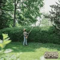 Thumbnail for STIHL HLA 56 Battery Pole Hedge trimmer | Gilford Hardware 