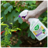 Thumbnail for Garden Safe Liquid Insect Killer 24 oz. | Gilford Hardware