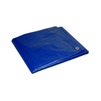 Thumbnail for Foremost Heavy Duty Polyethylene Tarp Blue 16 ft. W x 20 ft. L | Gilford Hardware