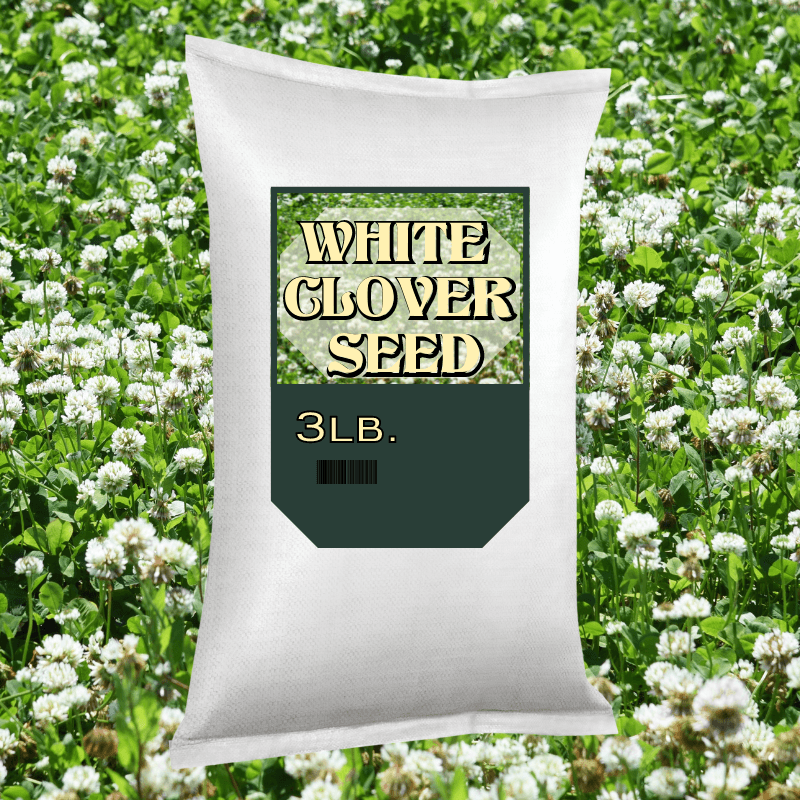 White Clover Seed 3 lbs. | At Gilford Hardware