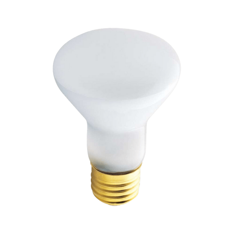 Westinghouse 45 watt R20 Floodlight Incandescent Bulb E26 (Medium) Soft White 2-Pack. | Gilford Hardware & Outdoor Power Equipment