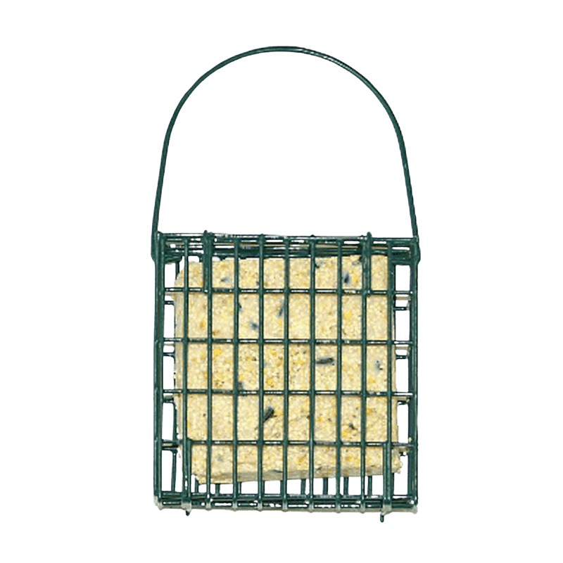 Audubon Steel Suet Bird Feeder | Gilford Hardware