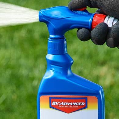 BioAdvanced 3-in-1 Mite Control 32 oz. | Gilford Hardware