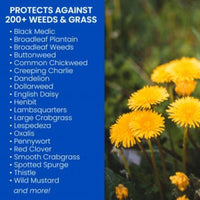 Thumbnail for BioAdvanced Crabgrass & Weed Killer RTU 24 oz. | Gilford Hardware