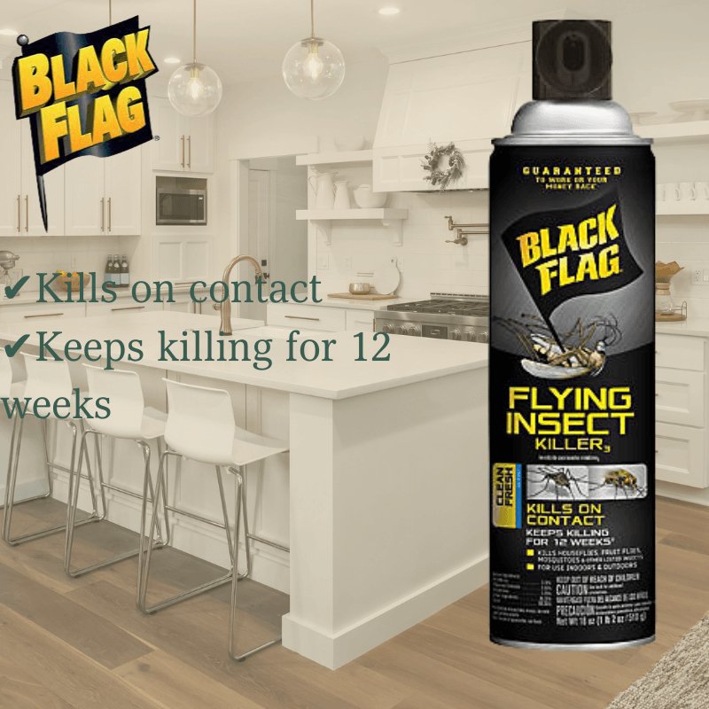 Black Flag Liquid Insect Killer 17.5 oz. | Gilford Hardware