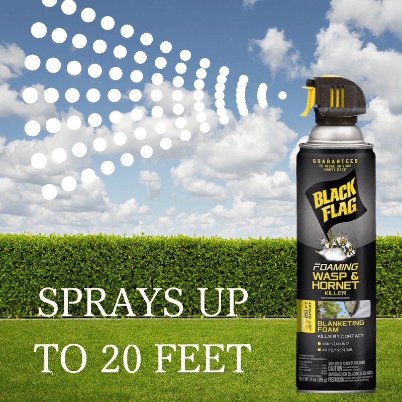 Black Flag Liquid Insect Killer 17.5 oz. | Gilford Hardware