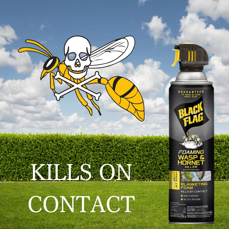 Black Flag Liquid Insect Killer 17.5 oz. | Gilford Hardware