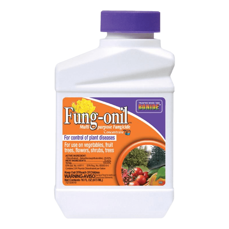 Bonide Fung-onil Concentrated Liquid Disease Control 16 oz. | Gilford Hardware