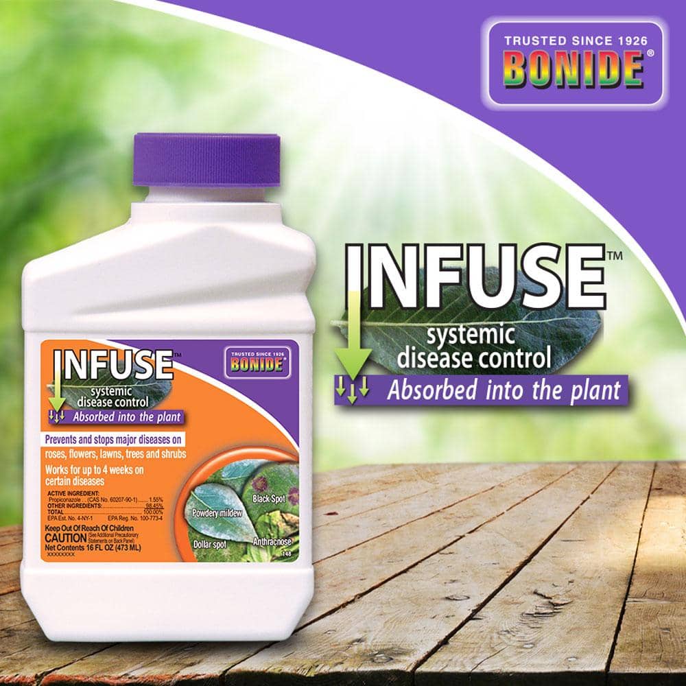 Bonide Infuse Concentrated Disease Control 16 oz. | Gilford Hardware