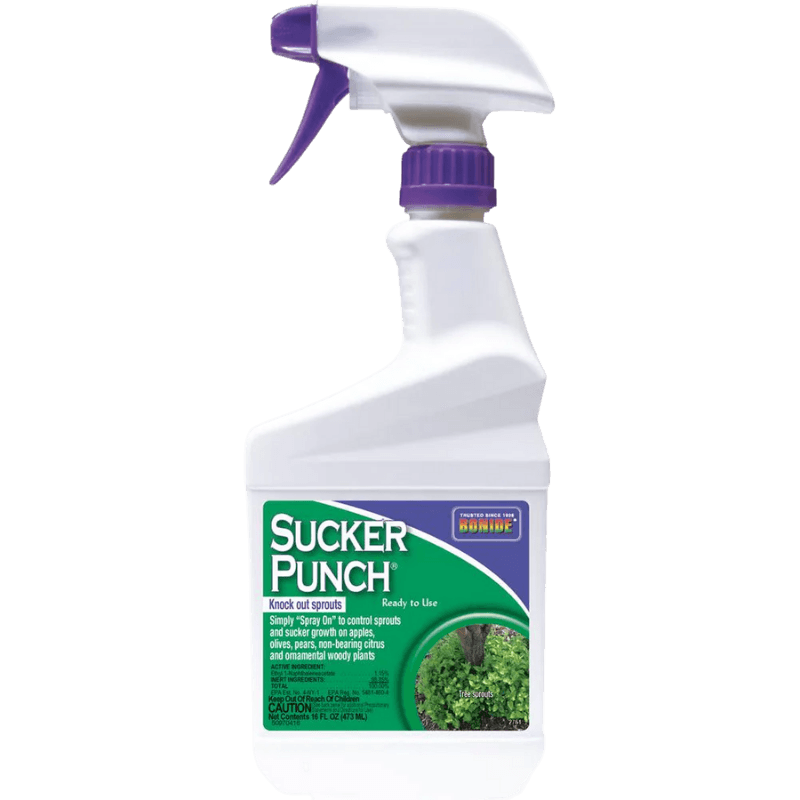 Bonide Sucker Punch Sprout Control 32 oz. | Gilford Hardware