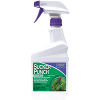 Thumbnail for Bonide Sucker Punch Sprout Control 32 oz. | Gilford Hardware