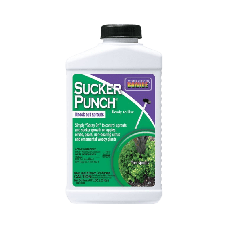 Bonide Sucker Punch Concentrate 8 oz. | Gilford Hardware