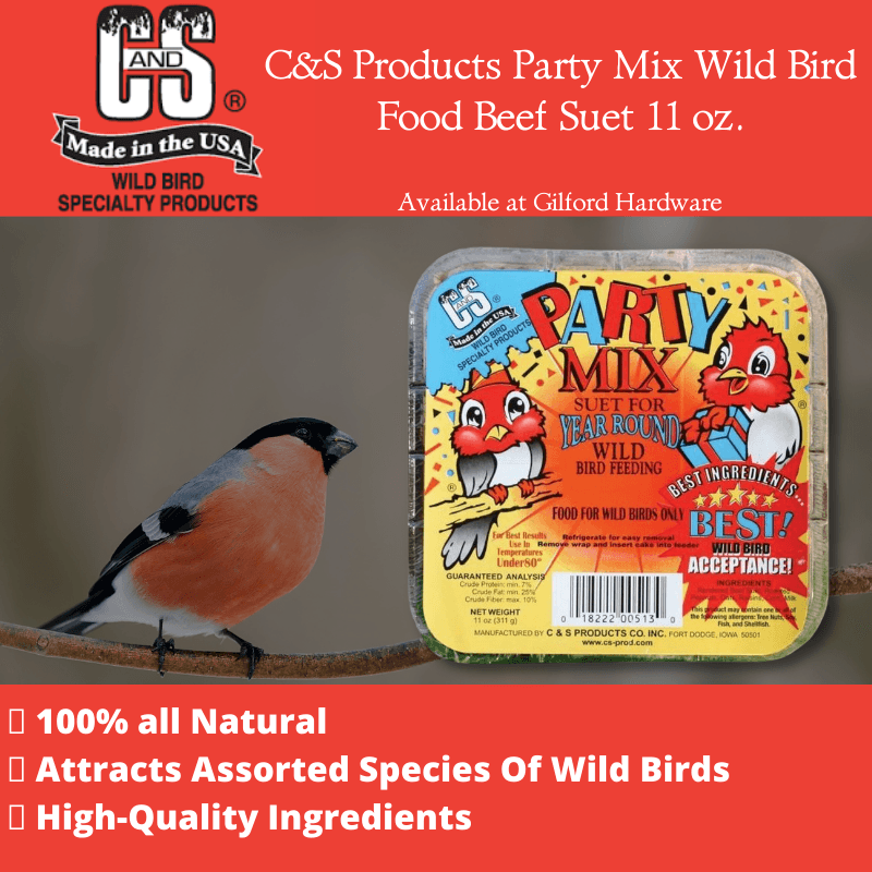 C&S Products Party Mix Wild Bird Food Beef Suet 11 oz. | Gilford Hardware