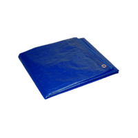 Thumbnail for Projex Light Duty Blue Tarp 8' x 10' | Gilford Hardware