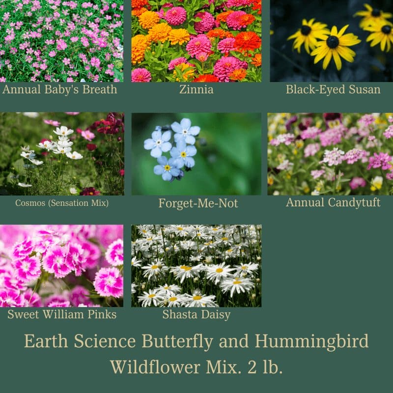 Earth Science Hummingbird Wildflower Mix.  | Gilford Hardware