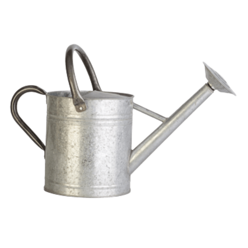 Panacea Watering Can Galvanized 1 Gallon | Gilford Hardware