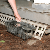 Thumbnail for Havahart Live Catch Cage Trap For Chipmunks, Squirrels, and Rats | Gilford Hardware 