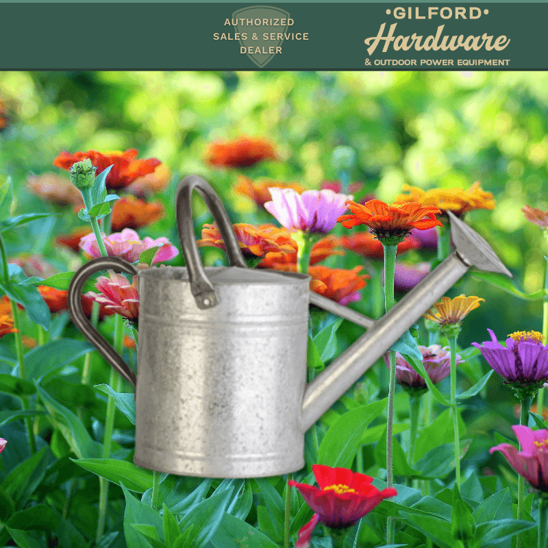 Panacea Watering Can Galvanized 1 Gallon | Gilford Hardware