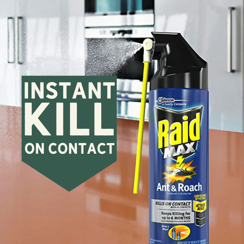 RaidMAX Roach Killer Spray 14.5 oz. | Gilford Hardware