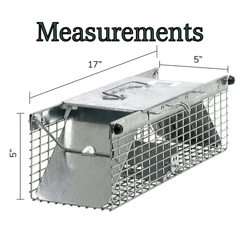 Havahart Live Catch Cage Trap For Mice | Gilford Hardware 