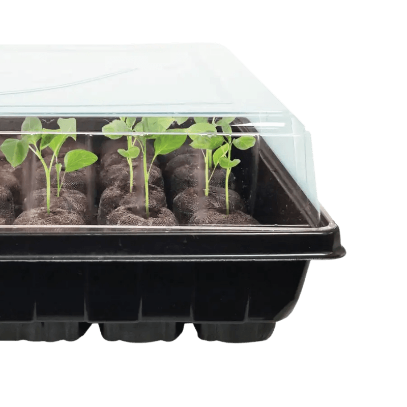 Jiffy Tomato & Vegetable Seed Starting Greenhouse | Gilford Hardware