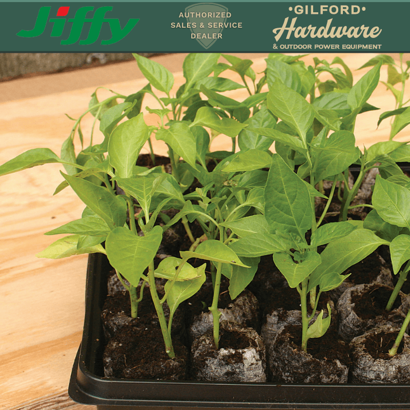 Jiffy Tomato & Vegetable Seed Starting Greenhouse | Gilford Hardware