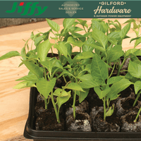 Thumbnail for Jiffy Tomato & Vegetable Seed Starting Greenhouse | Gilford Hardware