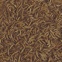 Thumbnail for Kaytee Mealworms 17.6 oz. | Gilford Hardware