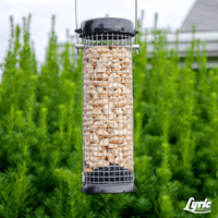 Thumbnail for Lyric Peanut Pieces Bird Food 5 lb. | Gilford Hardware