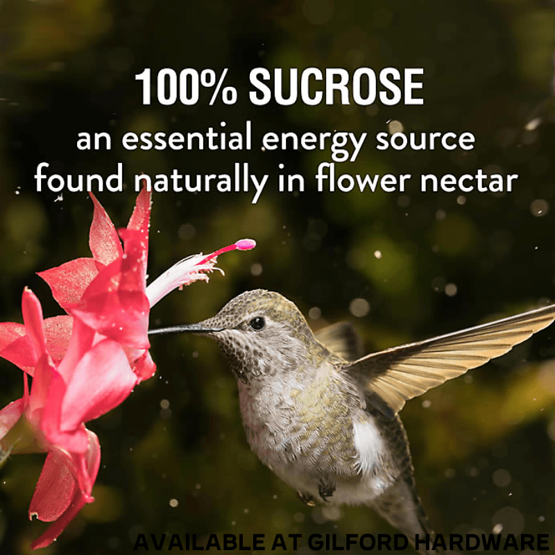 Perky-Pet Hummingbird Nectar Sucrose 64 oz. | Gilford Hardware