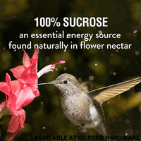 Thumbnail for Perky-Pet Hummingbird Nectar Sucrose 64 oz. | Gilford Hardware