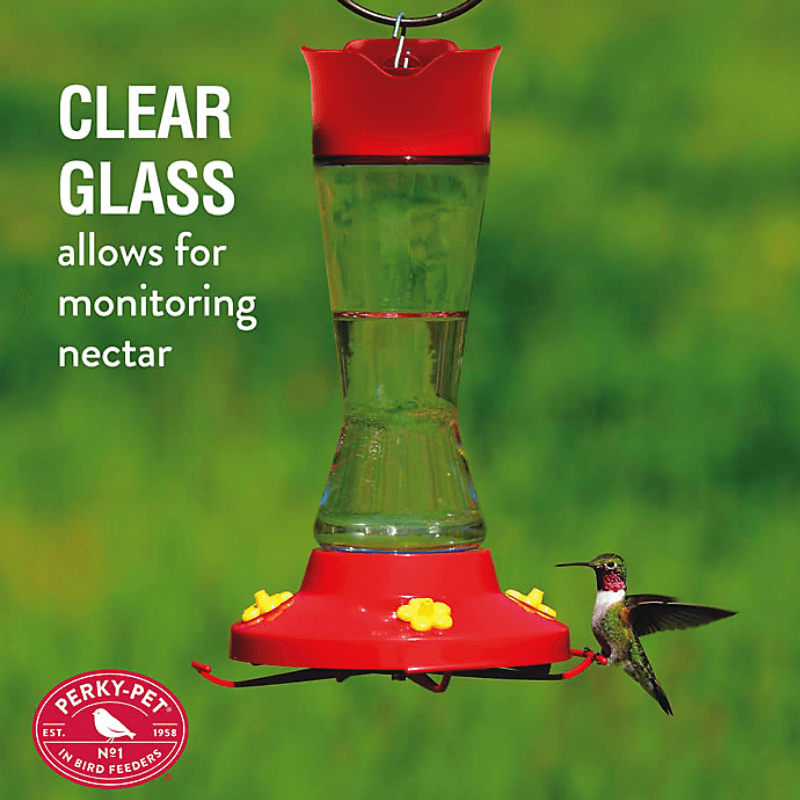 Perky-Pet Pinch Waist Glass Hummingbird Feeder 16 oz. |  Gilford Hardware