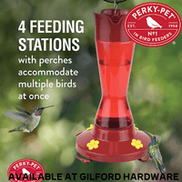 Thumbnail for Perky-Pet Pinch Waist Plastic Hummingbird Feeder 16 oz.|  Gilford Hardware