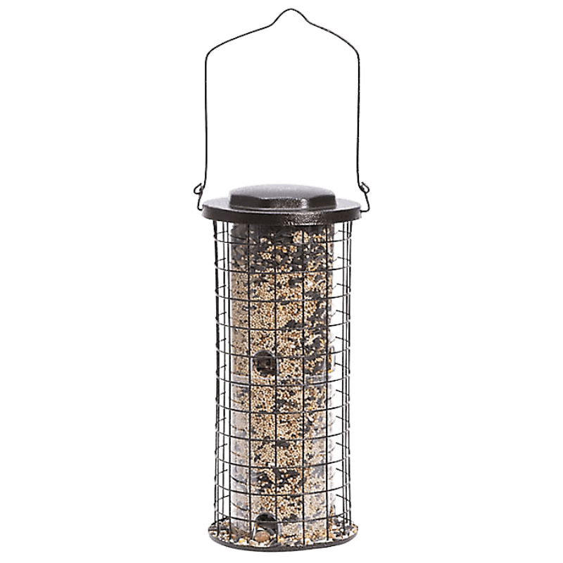 Perky-Pet Squirrel Stumper Bird Feeder 3 lb. | Gilford Hardware