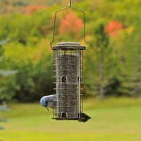 Thumbnail for Perky-Pet Squirrel Stumper Bird Feeder 3 lb. | Gilford Hardware