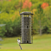 Thumbnail for Perky-Pet Squirrel Stumper Bird Feeder 3 lb. | Gilford Hardware