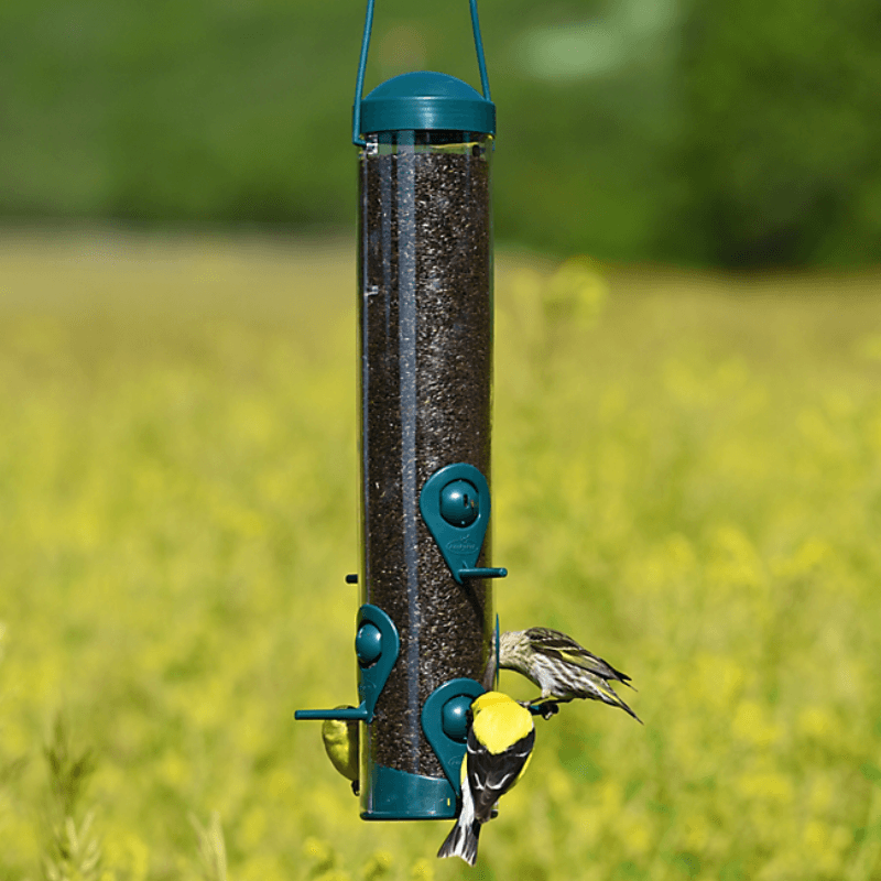 Perky-Pet Wild Bird and Finch Feeder 1.8 lb. | Gilford Hardware