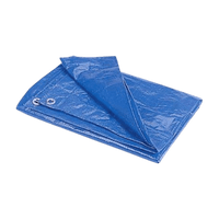 Thumbnail for Projex Light Duty Polyethylene Tarp Blue 16' x 20' | Gilford Hardware