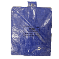 Thumbnail for Projex Light Duty Polyethylene Tarp Blue 10' x 12' | Gilford Hardware