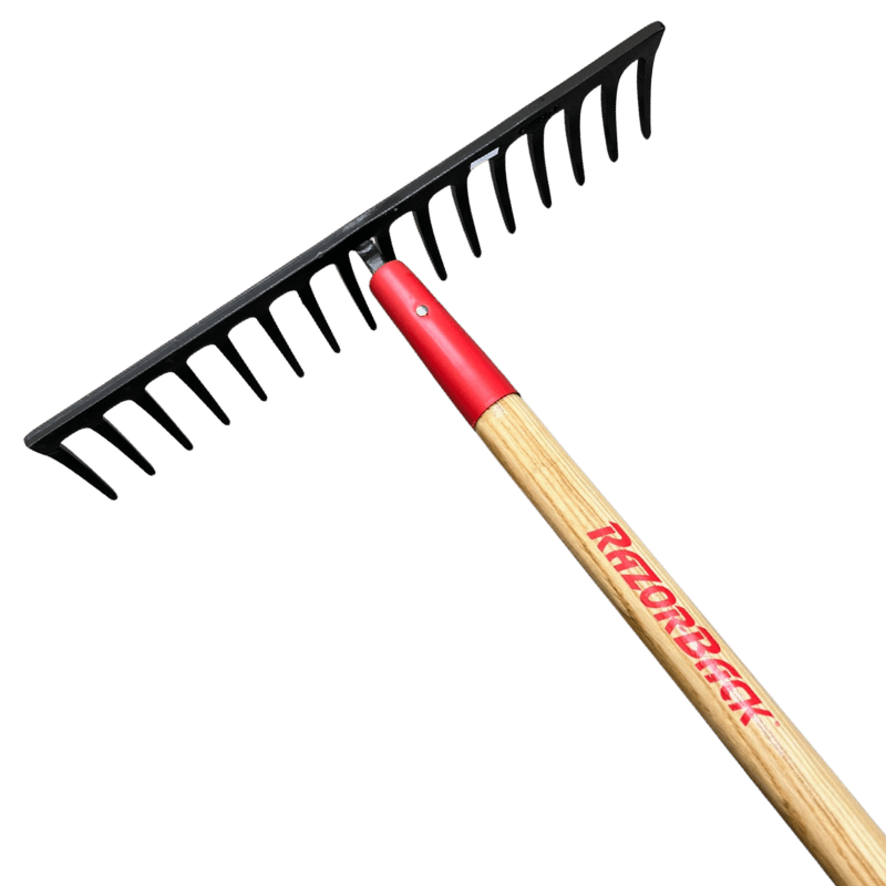 Razor-Back Steel Level Rake 16-Tine | Gilford Hardware