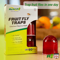 Thumbnail for RESCUE Fruit Fly Trap 2-pack | How do I get rid of fruit flies? | GH