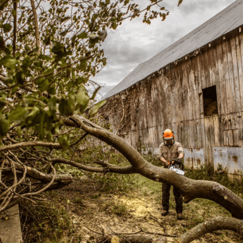 STIHL MS 362-Z Chainsaw  | Gilford Hardware