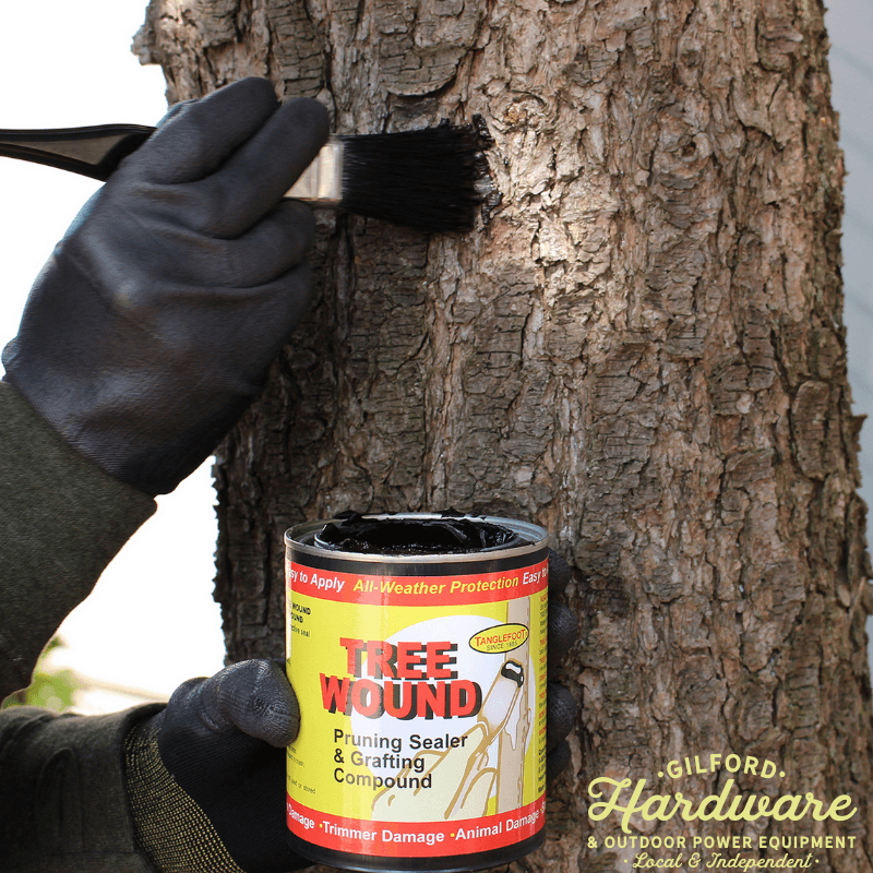 Tanglefoot Tree Wound  Pruning Sealer & Grafting Compound 16 oz. | Gilford Hardware