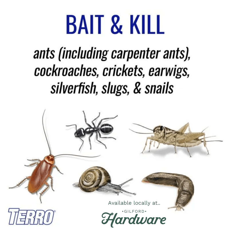 Terro Perimeter Ant Bait Plus 2 lb. | How to Get Rid of Ants