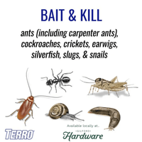 Thumbnail for Terro Perimeter Ant Bait Plus 2 lb. | How to Get Rid of Ants