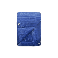 Thumbnail for Tru-Guard Multi-Purpose Blue Tarp 10' x 20' | Gilford Hardware