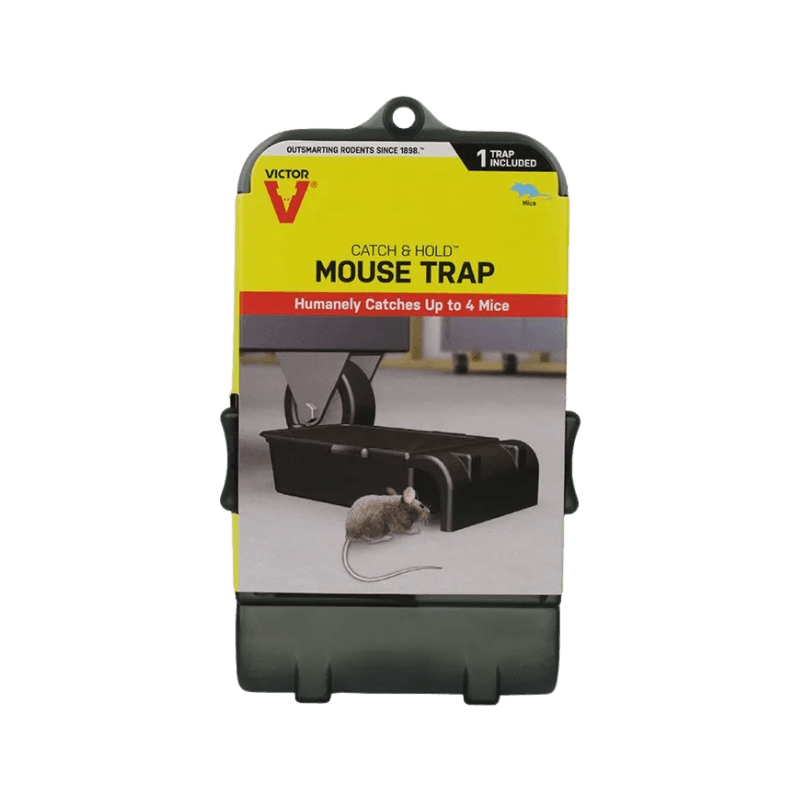 Victor Multiple Catch Mouse Trap | Gilford Hardware