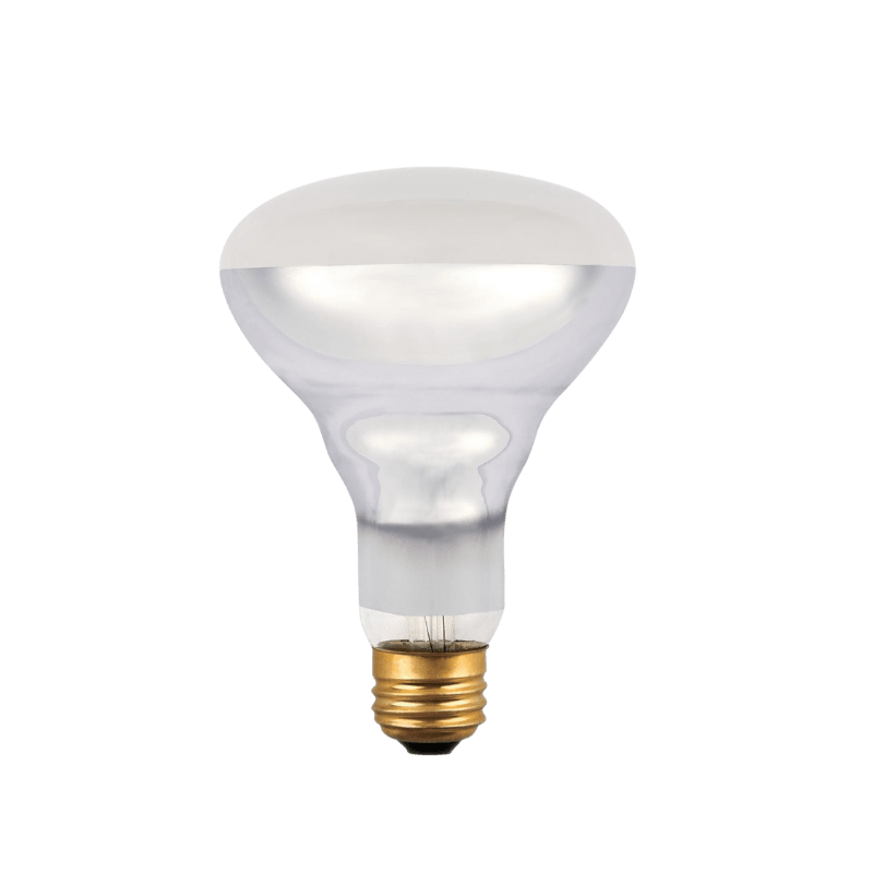 Westinghouse 65 watt BR30 Floodlight Incandescent Bulb E26 (Medium) White | Gilford Hardware & Outdoor Power Equipment