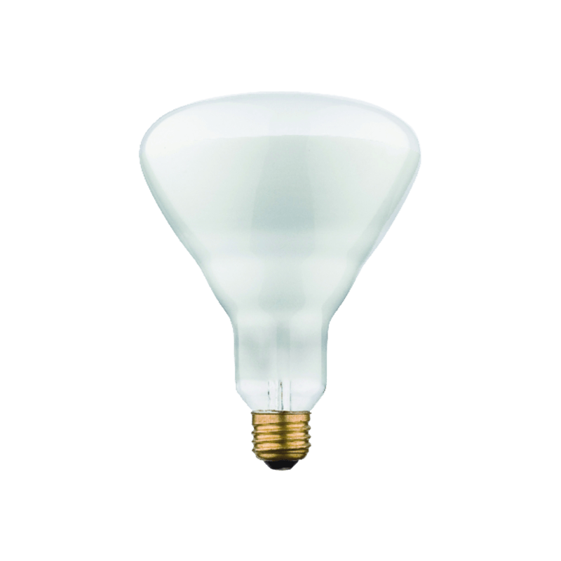 Westinghouse 65 watt BR40 Floodlight Incandescent Bulb E26 (Medium) Soft White | Gilford Hardware & Outdoor Power Equipment