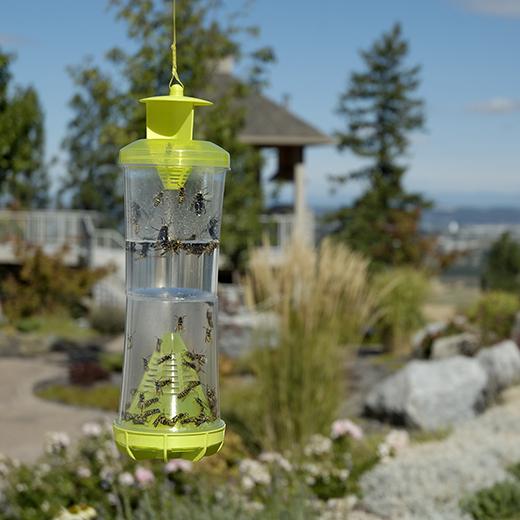 RESCUE Wasp Hornet & Yellowjacket Trap | Gilford Hardware